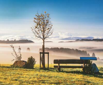 Panoramabänkle im Nebel am Bühl in Herrischried Panoramabänkle im Nebel am Bühl in Herrischried