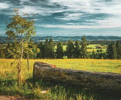 Bank nahe Naturfreundehaus in Altenschwand Bank nahe Naturfreundehaus in Altenschwand
