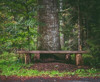 Sieben Moore Weg Sieben Moore Weg