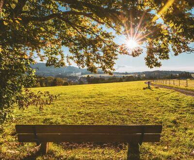 Blick ber Niedergebisbach in der Nhe des Wasserbehlters