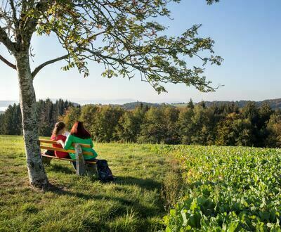 Unterhalb Kaisermatte in Görwihl Unterhalb Kaisermatte in Görwihl