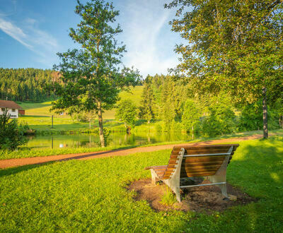 Stehlesee in Herrischried Stehlesee in Herrischried