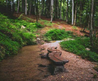 Baumelbank am Heidenwuhr auf dem Hotzenpfad Baumelbank am Heidenwuhr auf dem Hotzenpfad