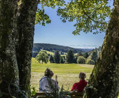 Rodelhang am Steinernen Kreuz Rodelhang am Steinernen Kreuz