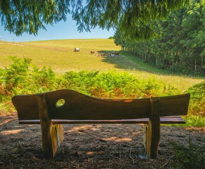 Premiumweg Hotzenpfad Premiumweg Hotzenpfad
