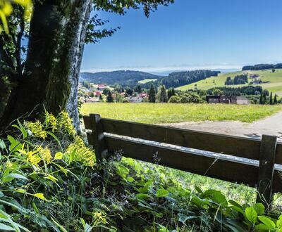 Oberhalb Niedergebisbach  Oberhalb Niedergebisbach