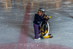 Eissporthalle Herrischried