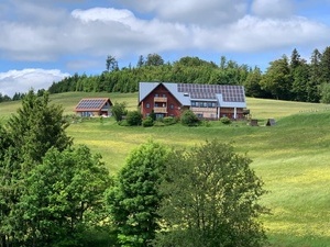 Blackforest Homestay